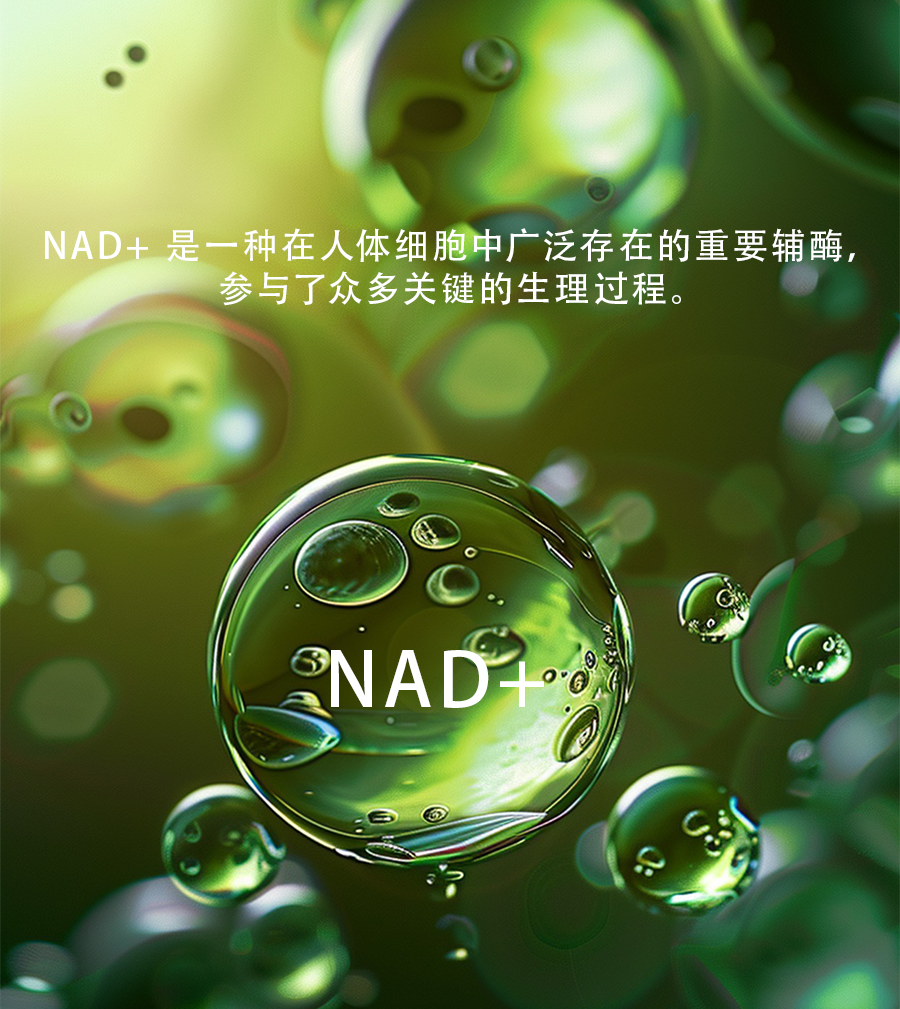433a23d68ee7a59fe05408ab938abbb9.png