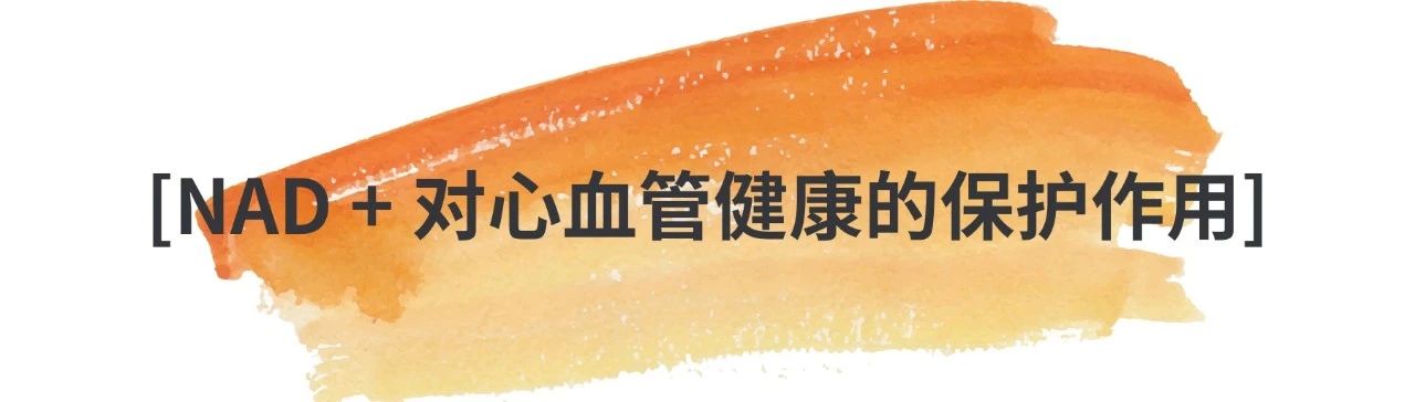 7acfe9680ac1f60aa201bd730426a996.jpg